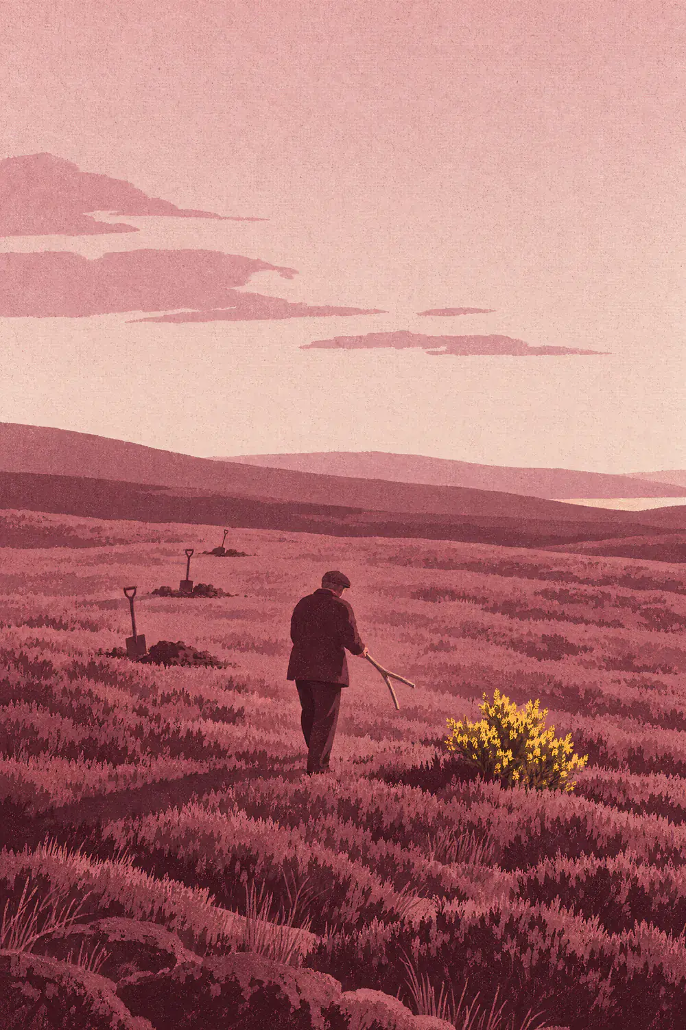 A man walks across a heather moor at dusk holding a forked hazel branch toward a yellow gorse bush, past three abandoned holes with spades still in them.